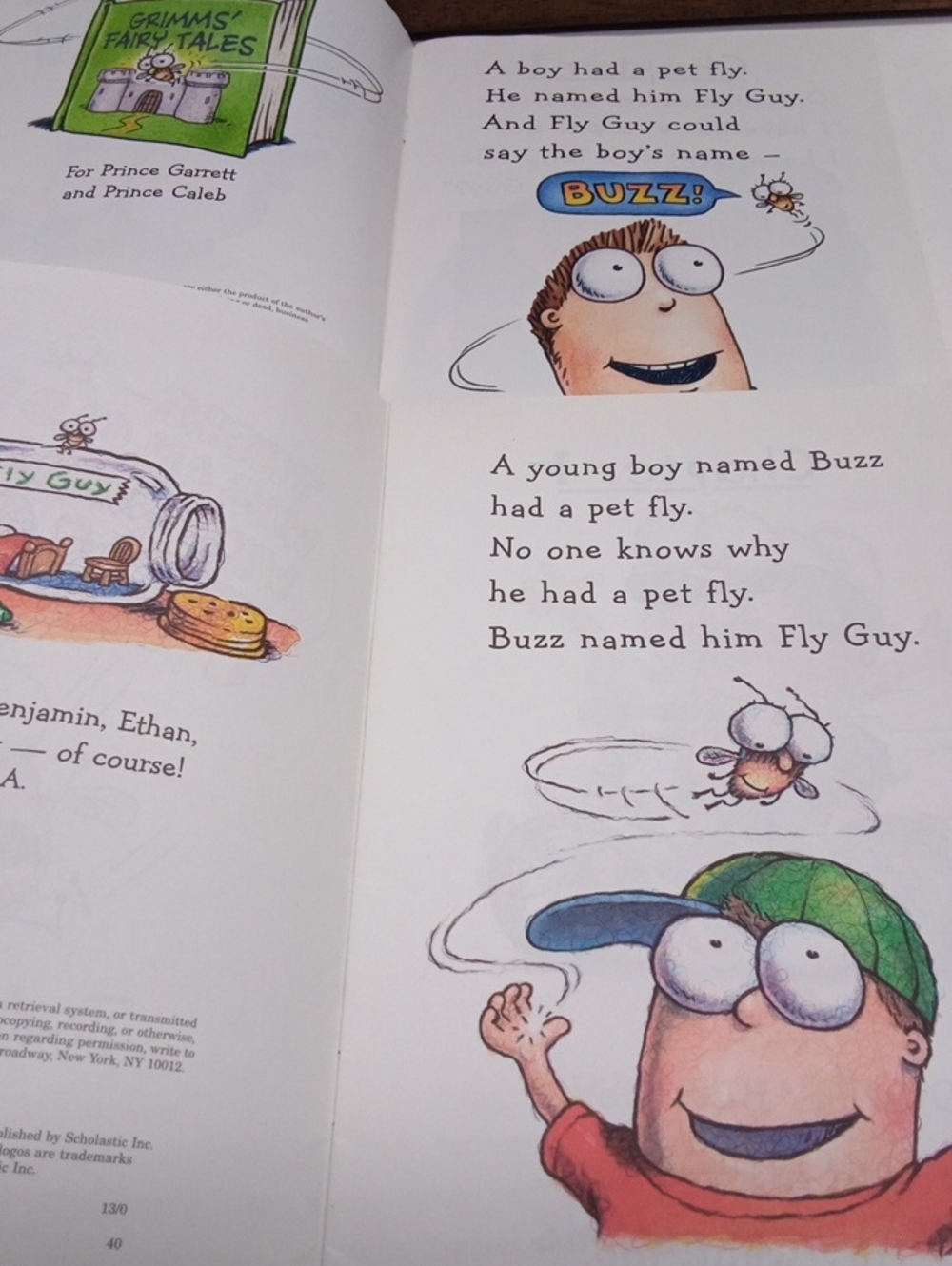 Fly Guy Level Reader Bundle Book#5 - Picture 7 of 7